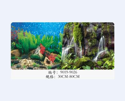 China Single Viable Decor Aquarium Poster Background Aquarium Double Side Coral Rock Landscape Poster Wall for sale