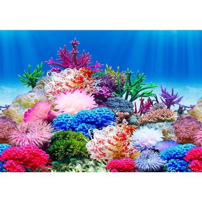 China 100cm Viable Aquarium Background Poster Double Sided Aquarium Wall Background Landscape 3D Adhesive Picture Multi Sizes for sale