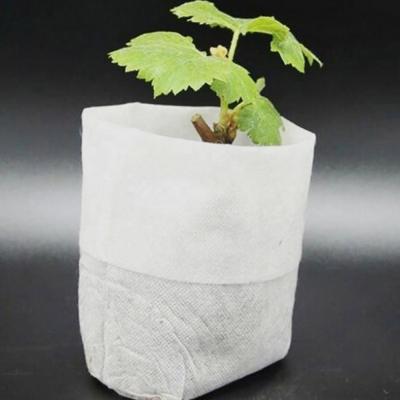 China Anti-bacteria Plant Nursery Nonwoven Bag / Degradable Nonwoven Seeding Grow Bag for sale