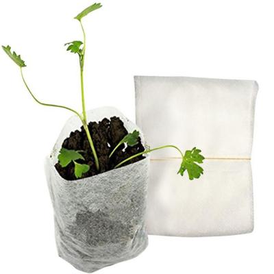 China Anti-bacteria Manufacturers Selling Nonwoven Plant Nursery Bag Plant Bags Sowing Bags for sale