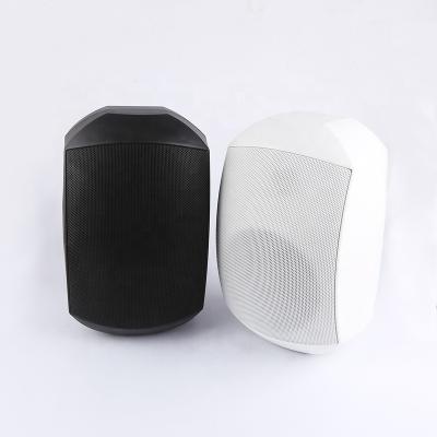 China PA F-LHY5Y 5 Inch 40W Waterproof IP65 Professional Two Way Audio Plastic Passive Speaker for sale