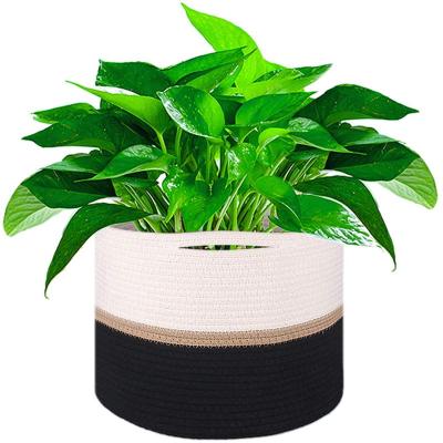 China Sustainable Woven Cotton Rope Plant Basket Plant Basket Home Basket With Handles for sale