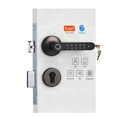 China Tuya/smart life or TTlock/ttrenting/tthotel Waterproof Smart Biometric Digital Lever Fingerprint Door Lock Practical Hotel Lock for sale