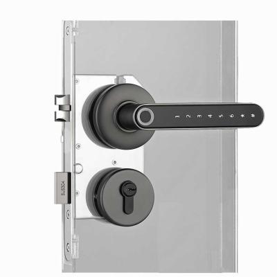 China IE-LOCK Ble Home Digital Bedroom Around Interior Doors Handel Design Lever Security Fingerprint Smart Door Lock for sale