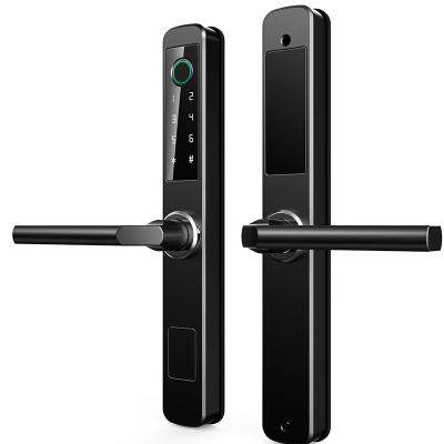 China Tuya Home Broken Aluminum Zigbee Lock Door Bridge Wifi Office Apartments Hotel Waterproof Double Sided Door Lock for sale