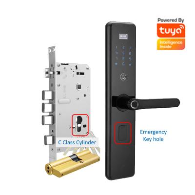 China Smart Home Home Hotel Residence Bedroom Wifi Biometric Fingerprint Door Lock For Hotel Apartment Office Building for sale