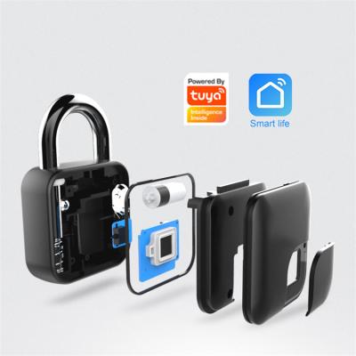 China Dust Proof And Waterproof BUBM Fingerprint Lock Keyless With Outdoor Smart Fingerprint Padlock Protection Lock for sale