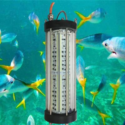 China Hot selling AC220V 1500W/1800W/2000W led fishing lure subacquea fishing lamp light 30*30*62cm for sale