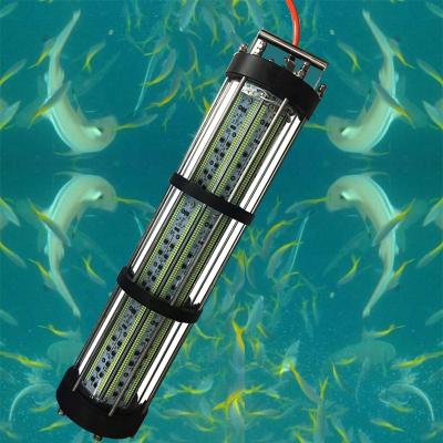 China POM+SS316+PC AC220V 3000W IP68 Lure Attracting Underwater Bait LED Boat High Power White Blue Green Fishing Light for sale