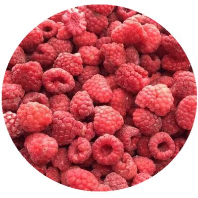 China IQF Frozen Fruit Hot Selling Frozen Raspberry for sale