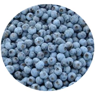 China Iqf FROZEN Frozen Fruit Blueberry for sale