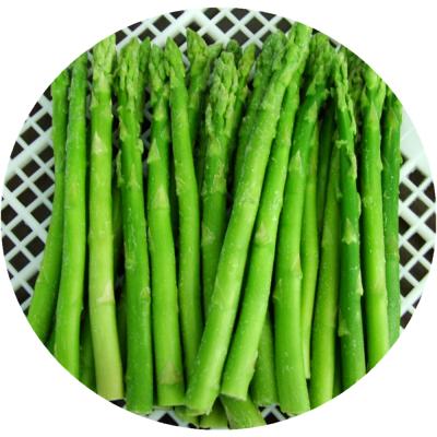 China Asparagusfrozen IQF FROZEN Wholesale Asparagus Frozen Vegetables for sale