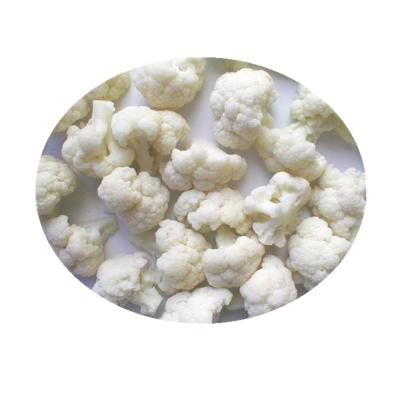 China FROZEN New Culture Organic Vegetable Cauliflower IQF White Frozen Vegetables for sale