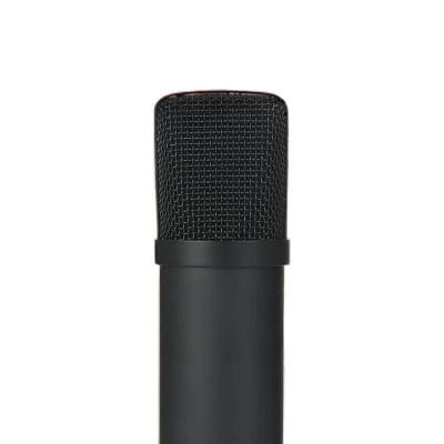 China Hot Selling Clear Sound Nt2a Condenser Microphone With Low Price Condenser Microphone for sale