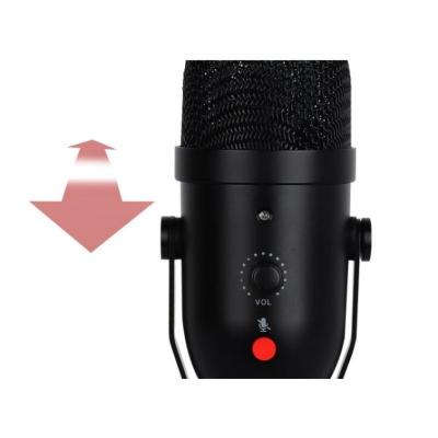 China Professional Podcast Studio Microphone With CE Certificate Condenser Recording Microphone for sale