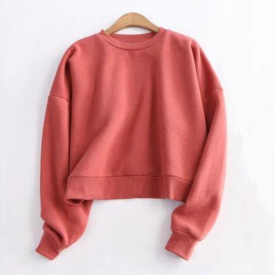 China Custom ladies anti pilling long sleeve sports plus size pullover sudaderas polyester cotton fleece sports crop full size sweatshirts for women for sale