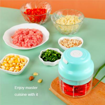 China 45W Portable Electric Viable Mini Garlic Chopper Glass Bowl 350ML USB Stainless Steel Blade Waterproof Garlic Thresher for sale