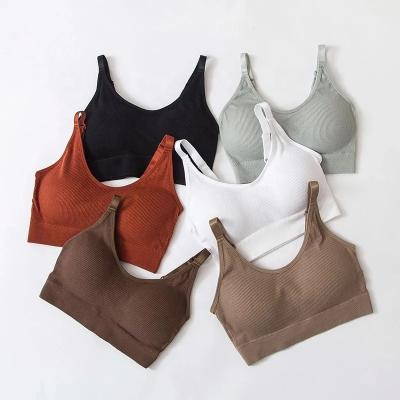 China Breathable Custom Sports Wear Padded Bra Women Fitness Vest Gym Running Crop Top Push Up Workout Apparel Yoga Bra for sale