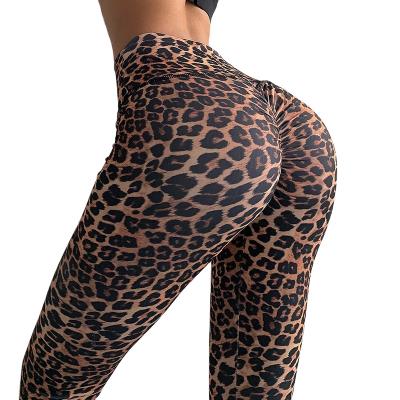 China Breathable Summer Clothes Nylon Leggings Workout Sport General Wear Sports Gaiters For Women for sale