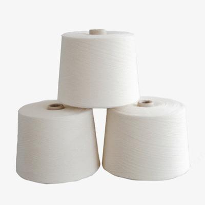 China Anti-Bacteria Wholesale White 140D/70*2 Nylon Filament Spandex Covered Yarn Double Covered Yarn For Knitting for sale