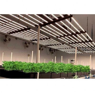 China Seed Starting Pro 880W 2.9umol/j Full Spectrum Dimmable 4*4/4*6 Gavita Led Grow Light With ETL Approved for sale