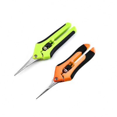 China Hydroponics Anti-Slip Garden Handle Titanium Blade Bonsai Snips Trimming Scissors With Sharping for sale