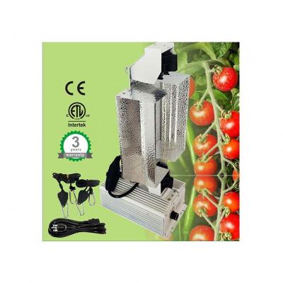 China Seed Starting Raised Green Gavita Grow Lampen HPS 1000w 400V GROW LIGHT Wide For Medical Indoor Plant for sale