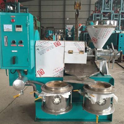 China Mini Oil Press Machine Cotton Seed.etc Double Screw Cold Oil Press Machine Corn Mustard Automatic Cashew Screw for sale