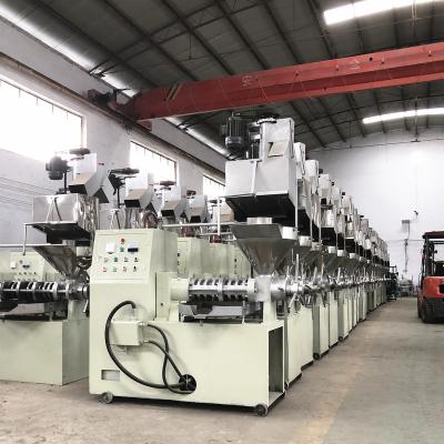 China Cotton Seed.etc 6yl-95 Twin Screw Oil Press Machine Cold Screw Sunflower Oil Press Machine 400-750kg Longer Hot Automatic for sale