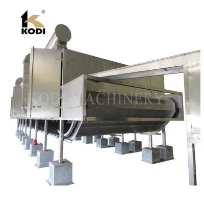 China Medicine Curing DW Series Pumpkin Seed Belt Dryer Machine Continuous Belt Drying Machine for sale