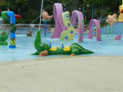 China Green Fiberglass Water Pool Toys Crocodile Spray For Kids And Adults for sale