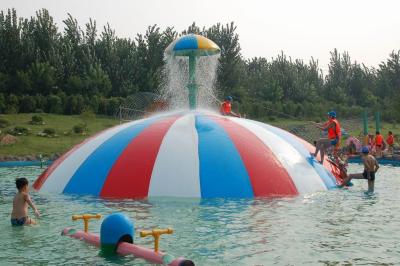 China Family Play Fun Commercial Children Water Slides For Aquasplash for sale