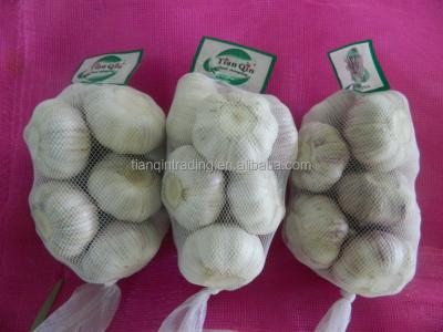 China New fresh fresh garlic/fresh red garlic in China (200g, 250g, 500g, 1kg) for sale