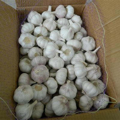 China Lao/ALI/ALHO/chinese fresh natural garlic price china white garlic for sale