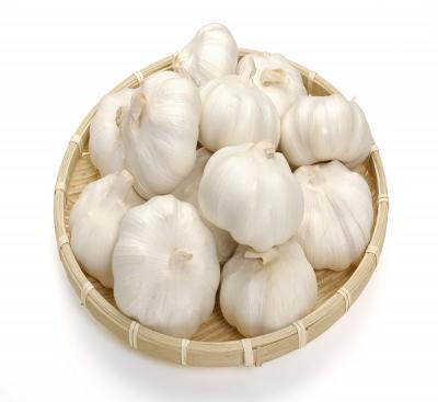 China 2020 fresh new type pure white price of china natural fresh garlic garlic culture purchase for sale