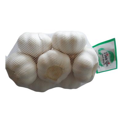 China Fresh fresh garlic from Chinese manufacturer in Jinxiang the home of Chinese garlic for sale