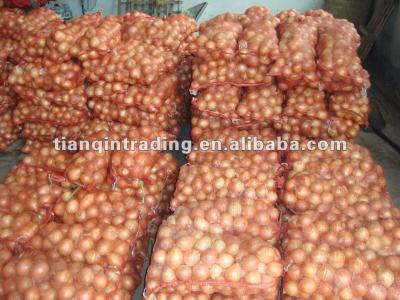 China New fresh 2012 culture red shallot for sale