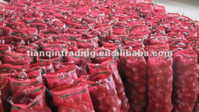 China Fresh red shallot price 2012 for sale