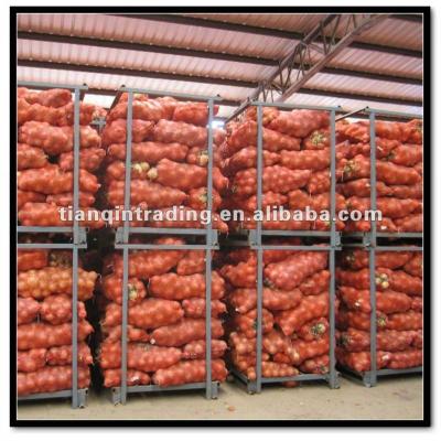 China Fresh red onion plant for sale