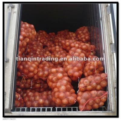 China Purchase china fresh onion for sale