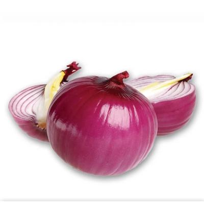 China 2021 fresh cultivation of fresh yellow and red onion in China for sale