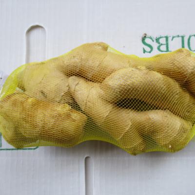 China Fresh fresh ginger and air dry ginger with carton box and plastic carton for sale