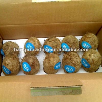 China Fresh Frozen Taro for sale