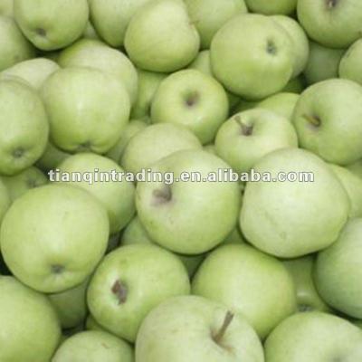 China Fresh china green gala apple for sale