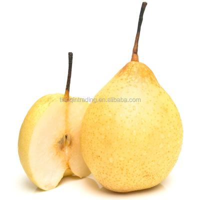 China ya fresh pear&new fresh crop&the most lowest price for sale