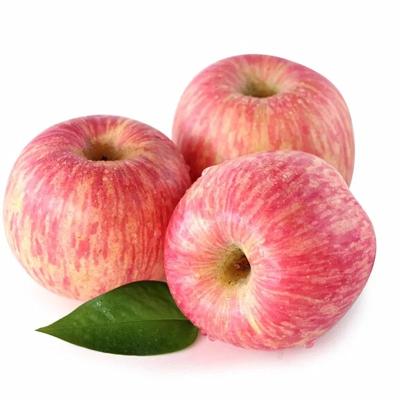 China Wholesale Fresh Red Fuji Apple Sweet Price From China for sale