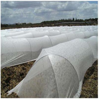 China Anti-bacteria Cultivation Blanket Breathable Biodegradable Nonwoven Fabric For Agriculture Blanket for sale