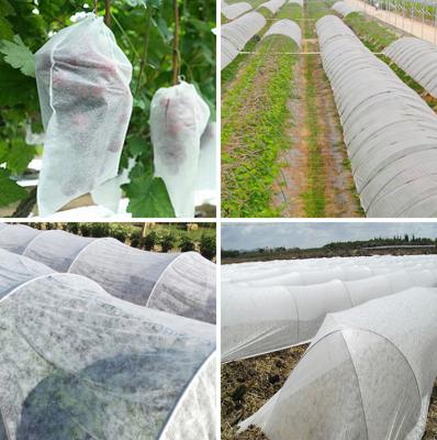 China Biodegradable Protective Agricultural Sack Anti-bacteria Fruit Banana Bag PP Cloth PP Spunbond Nonwoven for sale