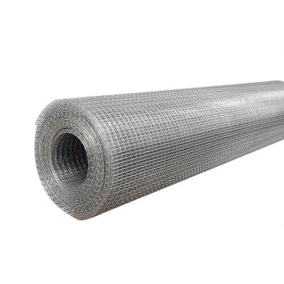 China Plain Weave 1 Inch 1/2 Inch Welded Wire Mesh Manufacturers Supply Plastic-Coated Protective Fence Nets For Breeding Chicken Wire Mesh for sale