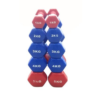 China Cheap Dumbbell China Color Dumbbell Set Home Gym Fitness Equipment Rubber Covered Cast Iron for sale